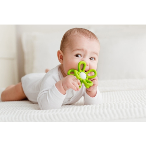 Gryzak grzechotka kwiatek zielony GiliGums 45575