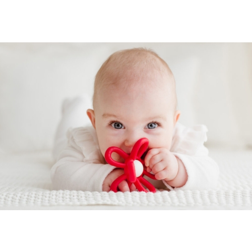 Gryzak grzechotka kwiatek czerwony GiliGums 45582