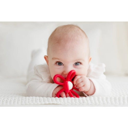 Gryzak grzechotka kwiatek czerwony GiliGums 45582