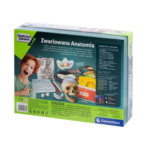 Nauka poprzez zabawę anatomia