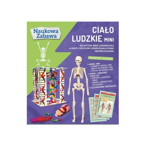 Clementoni Ludzkie Ciało