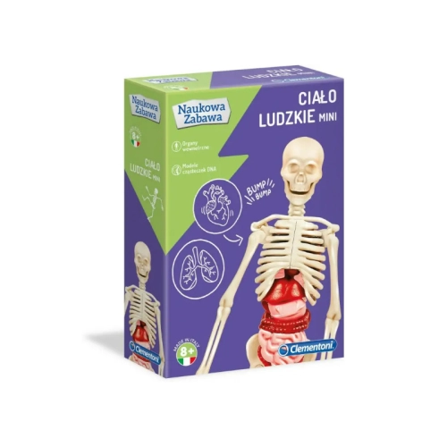 Ciało Ludzkie Mini