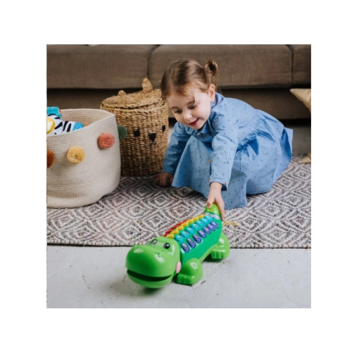 Aligator Edukator V-Tech 60620