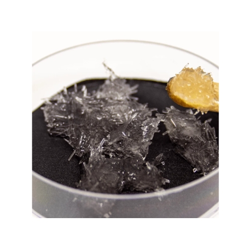 Science4You Trefl 61103