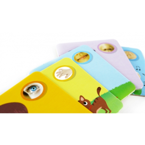 Carotina Gra Edukacyjna Ciało człowieka LISCIANI 61167