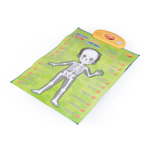 Edukacyjne plakaty Człowiek Dumel 62395