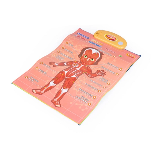 Edukacyjne plakaty Człowiek Dumel 62395