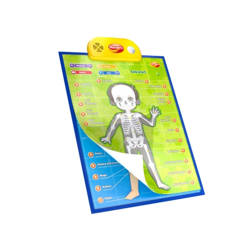 Edukacyjne plakaty Człowiek Dumel 62395