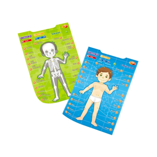 Edukacyjne plakaty Człowiek Dumel 62395