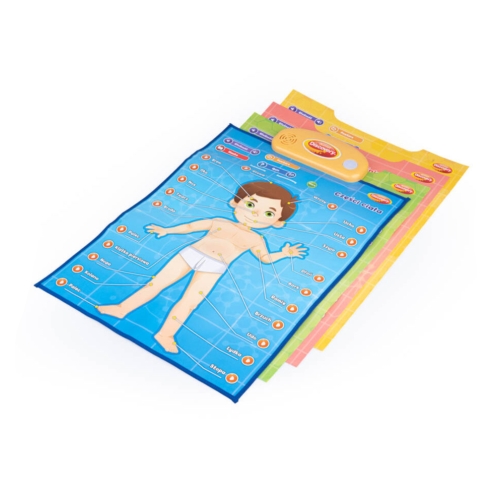 Edukacyjne plakaty Człowiek Dumel 62395