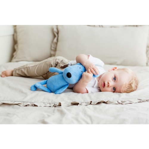 Piesek tulimy niebieski 28cm Balibazoo BB81993