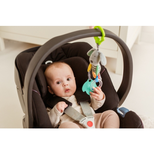 Zawieszka Pies w paski Balibazoo BB81998