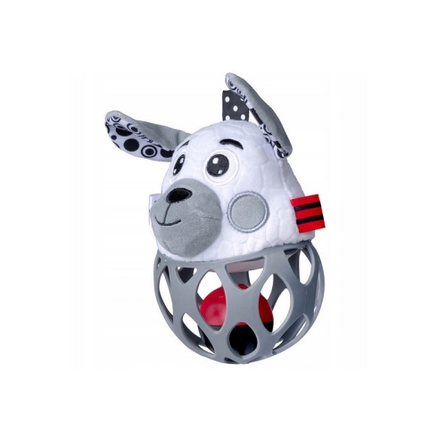 Grzechotka Kontrastowa Pies