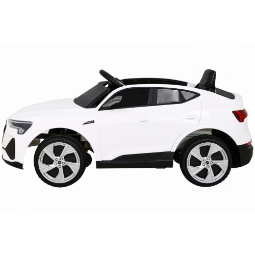 Audi E-Tron QLS-6688.BIA