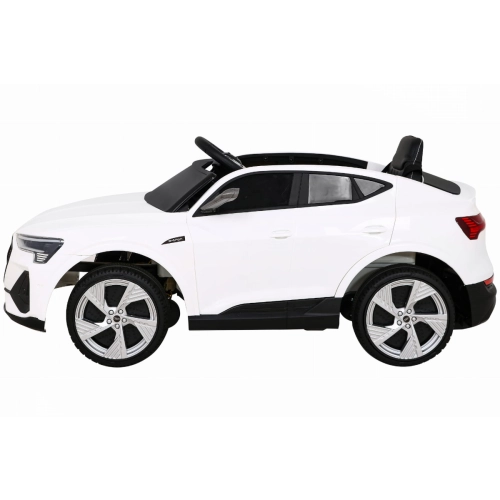 Audi E-Tron QLS-6688.BIA