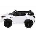 Land Rover Discovery Sport Biały BBH-023
