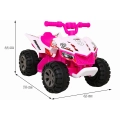 Pojazd Dla Dzieci Quad the Fastest Różowy BRD-2101