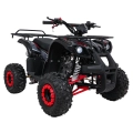 Quad Spalinowy WILDPEAK 110cc Czerwony