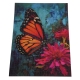 Puzzle 1000el. Motyl