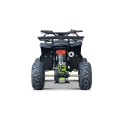 Pojazd Quad Spalinowy WILDPEAK 110cc Zielony 45 km/h E-Start