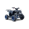 Quad Spalinowy WILDPEAK 110cc Niebieski 45 km/h E-Start