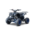 Quad Spalinowy WILDPEAK 110cc Niebieski 45 km/h E-Start