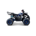 Pojazd Quad Spalinowy WILDPEAK 110cc Niebieski 45 km/h E-Start