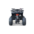 Pojazd Quad Spalinowy WILDPEAK 110cc Czarny 45 km/h E-Start