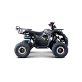 Pojazd Quad Spalinowy WILDPEAK 110cc Czarny 45 km/h E-Start