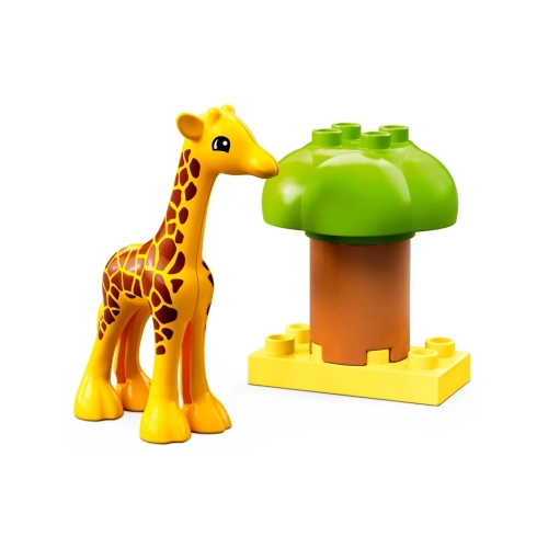 Dzikie zwierzęta Afryki