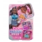 Barbie Dream Besties Brooklyn Lalka I akcesoria 3297