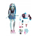 Lalka Mattel Monster High Frankie Stein i Watzie 9781