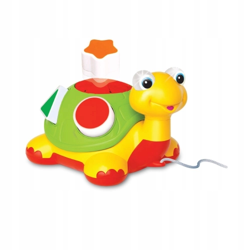 Żółwik sorter kształtów