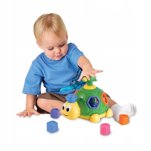 DUMEL Discovery Sorter Żółwik Terkotek DD38957