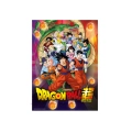 Puzzle 1000el Dragonball
