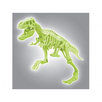 Dinozaury Skamieniałości T-Rex 60889