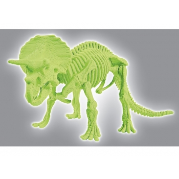 Dinozaury Skamieniałości Triceratops 60892