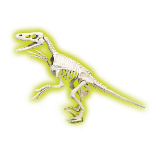 Clementoni Dinozaury Skamieniałości