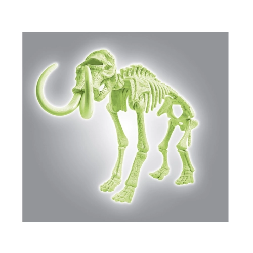 Skamieniałości Mamut 60890