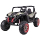 BUGGY SuperStar 4X45